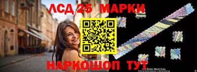 гашик Жуковский
