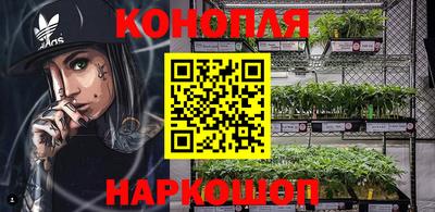 mdpv Заводоуковск