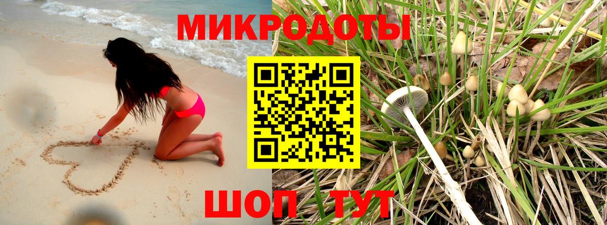 Галлюциногенные грибы Cubensis  где найти   Лениногорск  Галлюциногенные грибы MAGIC MUSHROOMS  Вход с VPN 